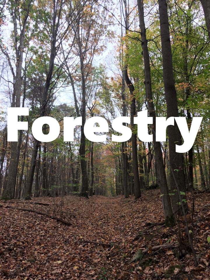 forestry heading