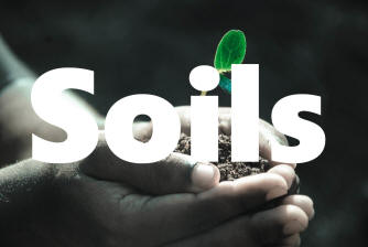 soils heading